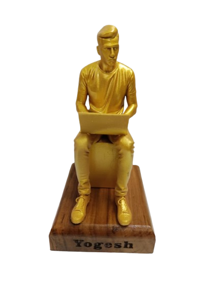 Professional IT ENGINEER-3D PRINTED